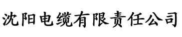 秋霞午夜影院在线看电缆厂logo